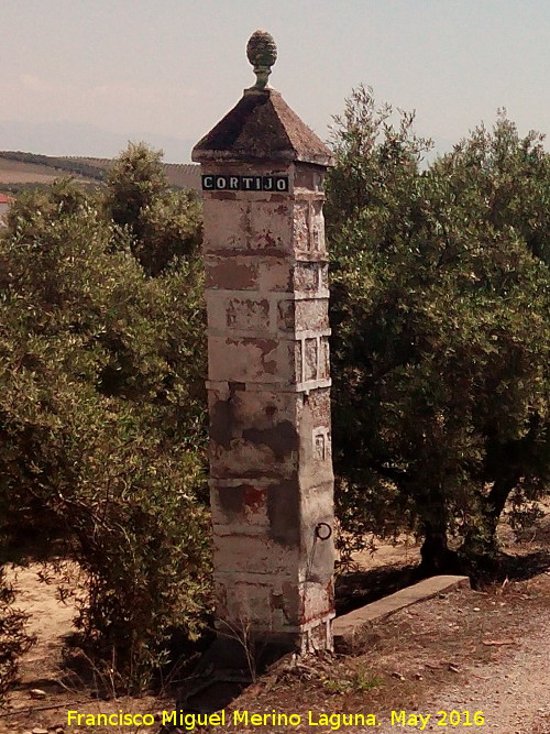 Cortijo Los Perejiles - Cortijo Los Perejiles. 