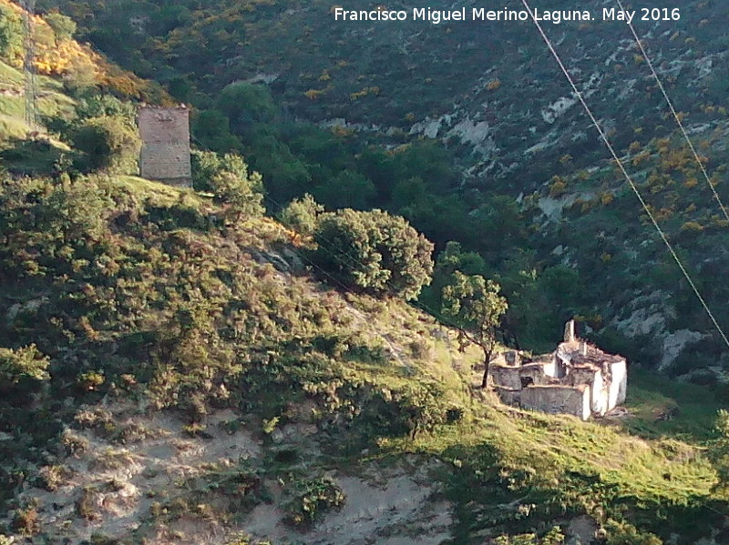 Caseta de la Luz del Pedregoso - Caseta de la Luz del Pedregoso. Caseta y cortijo