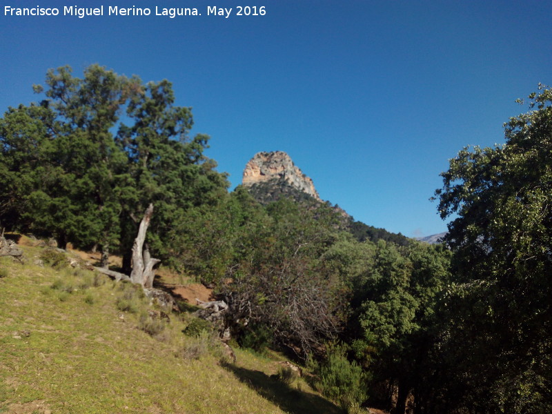 Piedra del Muln - Piedra del Muln. Desde el Cortijo del Muln