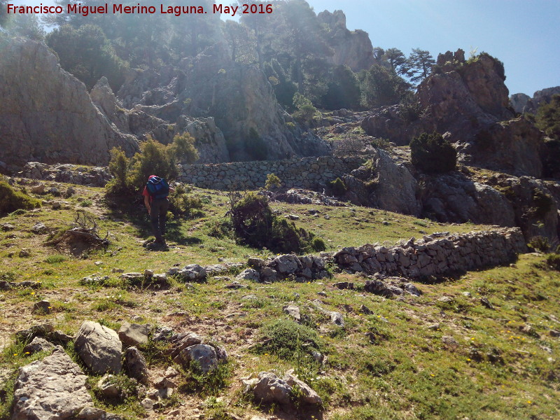 Camino de herradura del Banderillas - Camino de herradura del Banderillas. 