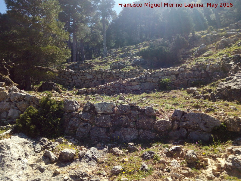 Camino de herradura del Banderillas - Camino de herradura del Banderillas. 