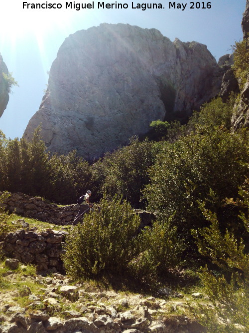 Camino de herradura del Banderillas - Camino de herradura del Banderillas. 