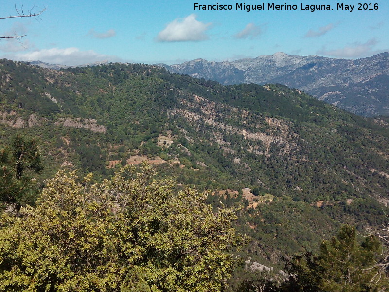 Morro de la Hoya - Morro de la Hoya. 