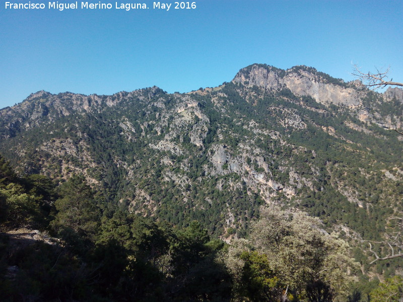 Cerro Calarejo - Cerro Calarejo. 