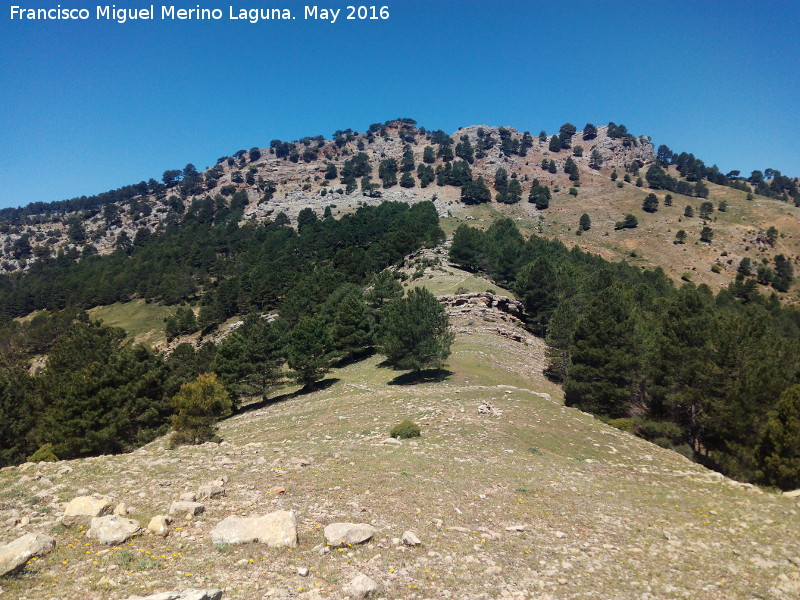 Collado de Roblehondo - Collado de Roblehondo. 