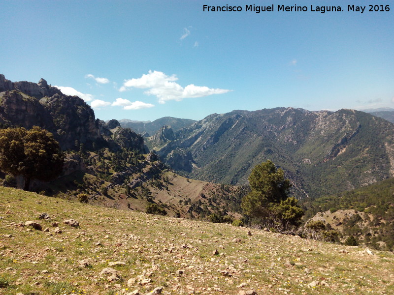 Collado de Roblehondo - Collado de Roblehondo. Vistas