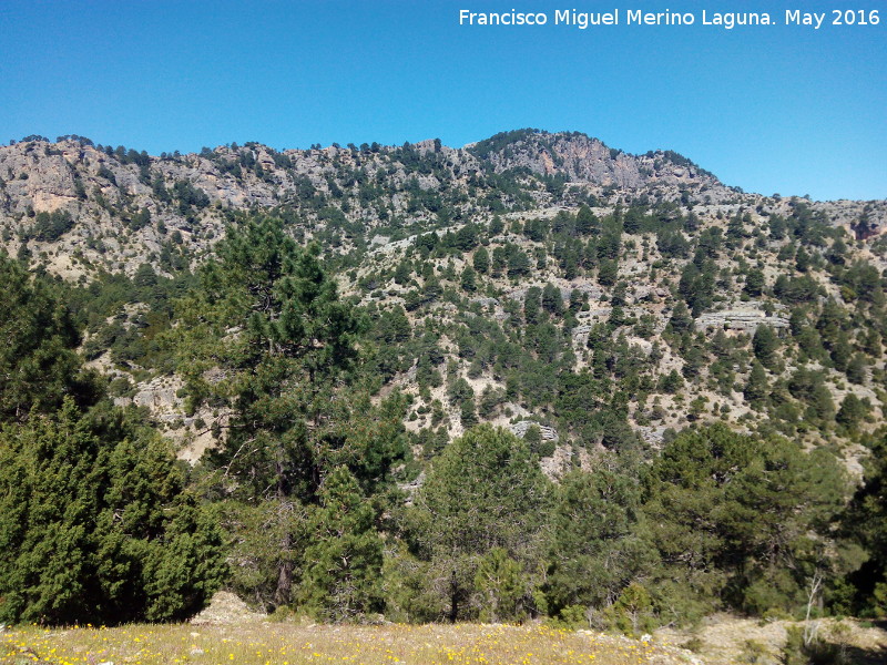 Los Torcadillos - Los Torcadillos. Desde el Cortijo Pardales