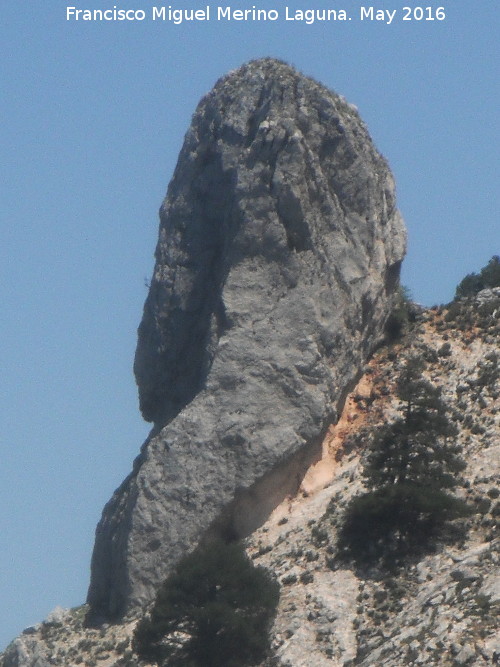 El Fraile de las Banderillas - El Fraile de las Banderillas. 