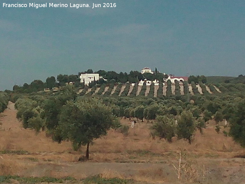 Cortijo Mojapelos - Cortijo Mojapelos. 