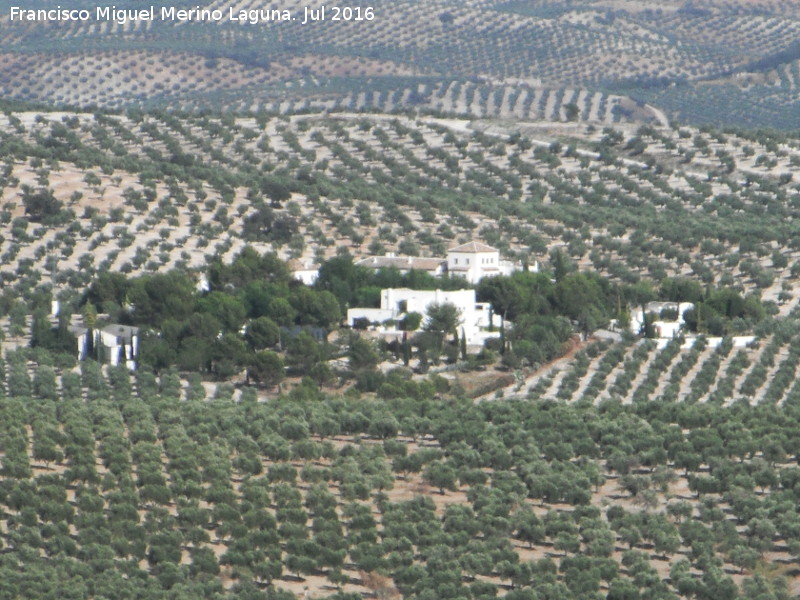 Cortijo Mojapelos - Cortijo Mojapelos. 