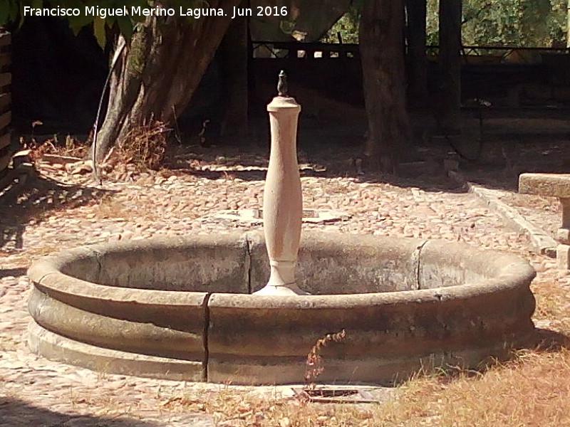 Fuente del Cortijo Amparo - Fuente del Cortijo Amparo. 