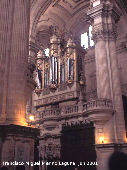 Catedral de Jan. rgano - Catedral de Jan. rgano. 