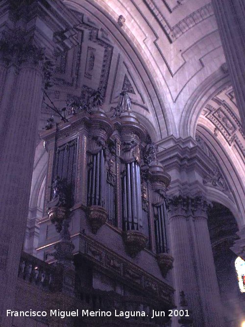 Catedral de Jan. rgano - Catedral de Jan. rgano. 