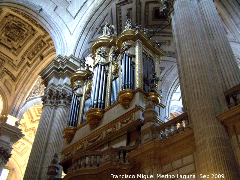 Catedral de Jan. rgano - Catedral de Jan. rgano. 