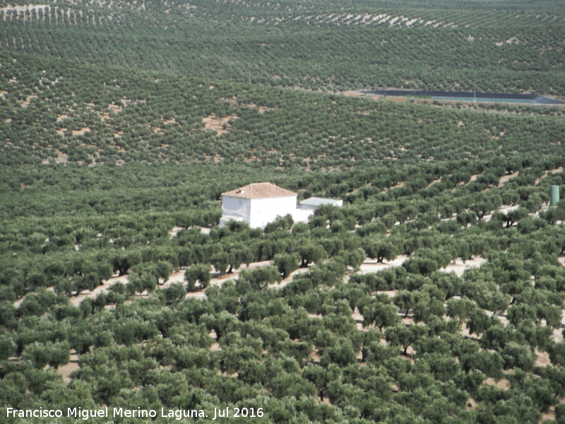 Cortijo del Cerro de la Atalaya - Cortijo del Cerro de la Atalaya. Mar de olivos