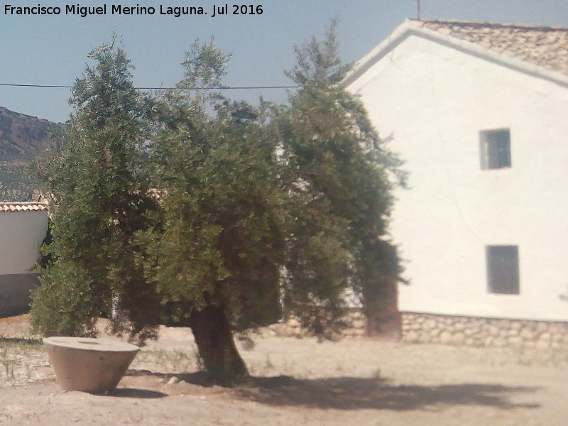 Cortijo de la Santa Cruz - Cortijo de la Santa Cruz. Piedra de molino