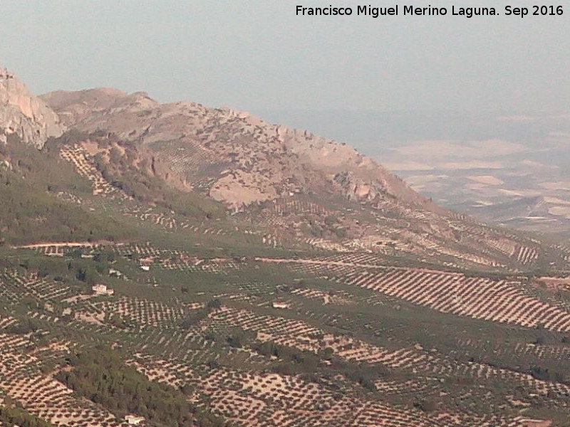 Cerro de la Magdalena - Cerro de la Magdalena. Desde la ladera norte del Rayal