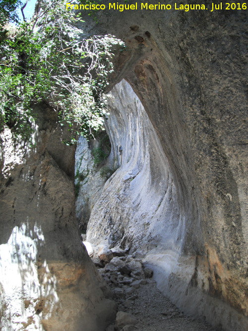 Can del Nacimiento - Can del Nacimiento. Arco de piedra