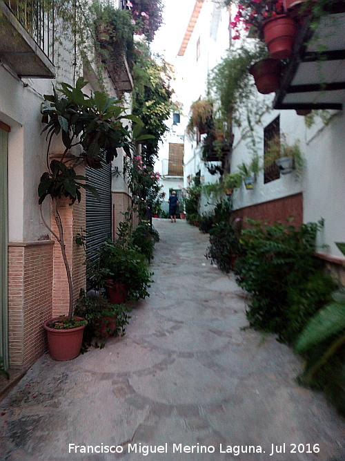 Calle Arco de los Santos - Calle Arco de los Santos. 