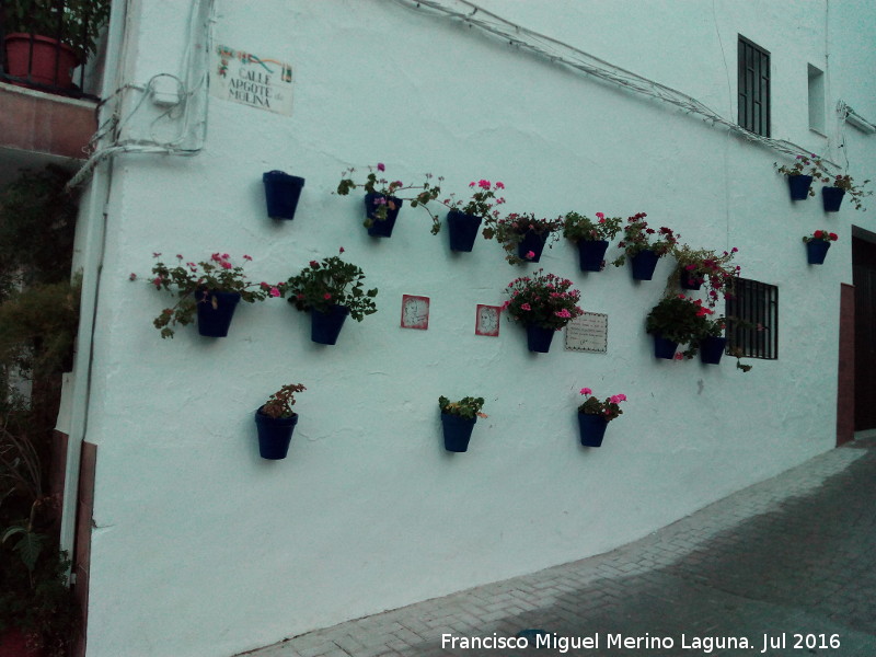 Calle Argote de Molina - Calle Argote de Molina. 