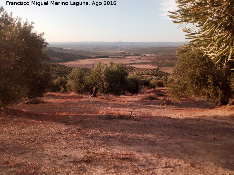 Cerro Morrn - Cerro Morrn. Vistas hacia la vega