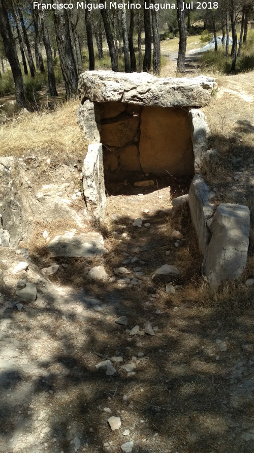 Dolmen XI - Dolmen XI. 