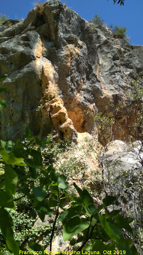 Pinturas rupestres de la Cueva del Sureste del Canjorro - Pinturas rupestres de la Cueva del Sureste del Canjorro. Donde se ubican las pinturas