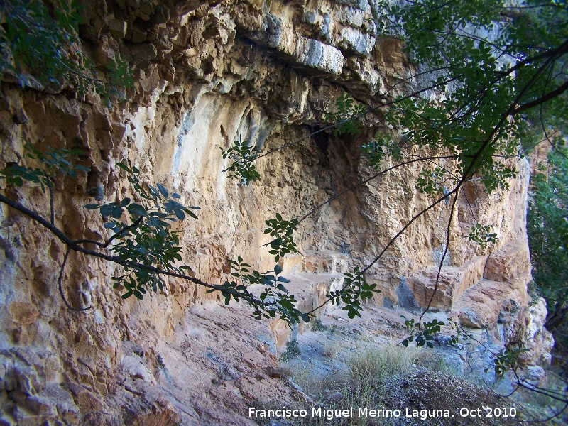 Pinturas rupestres de la Cueva de la Higuera - Pinturas rupestres de la Cueva de la Higuera. 