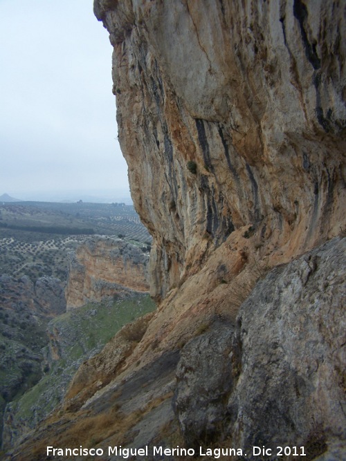 Pinturas rupestres de la Cueva de los Molinos - Pinturas rupestres de la Cueva de los Molinos. Vistas