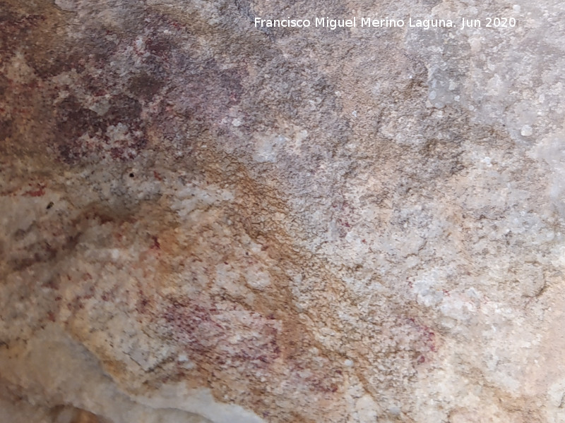 Pinturas rupestres de la Cueva de los Molinos - Pinturas rupestres de la Cueva de los Molinos. Pinturas de la pared izquierda