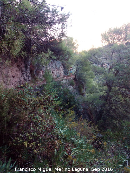 Camino de la Canalizacin de Otiar - Camino de la Canalizacin de Otiar. 