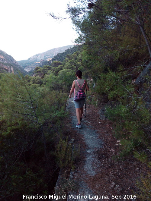 Camino de la Canalizacin de Otiar - Camino de la Canalizacin de Otiar. 