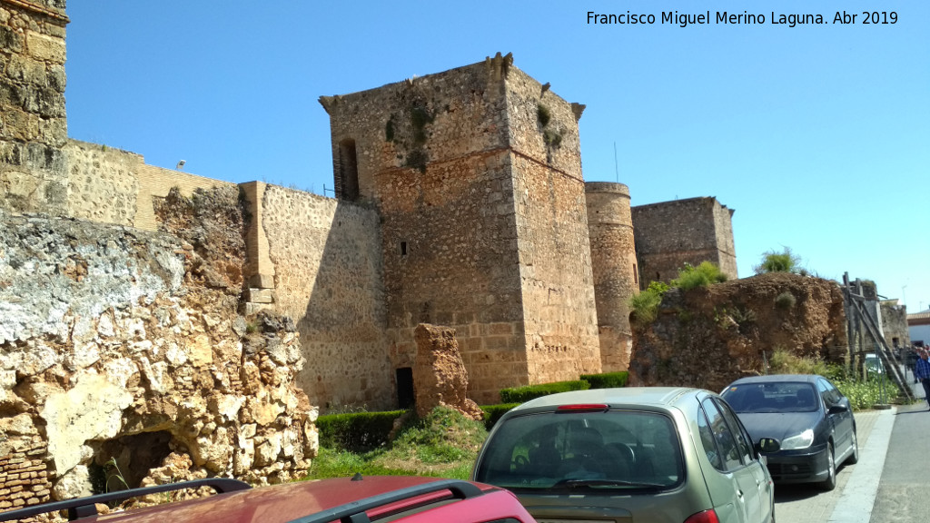 Castillo de los Guzmanes - Castillo de los Guzmanes. Lateral sur