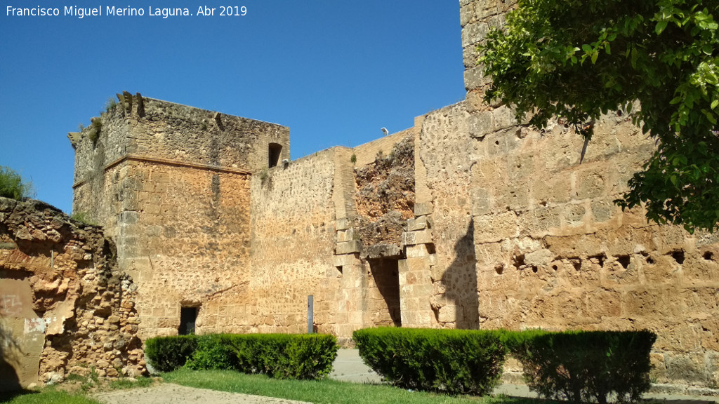 Castillo de los Guzmanes - Castillo de los Guzmanes. Puerta