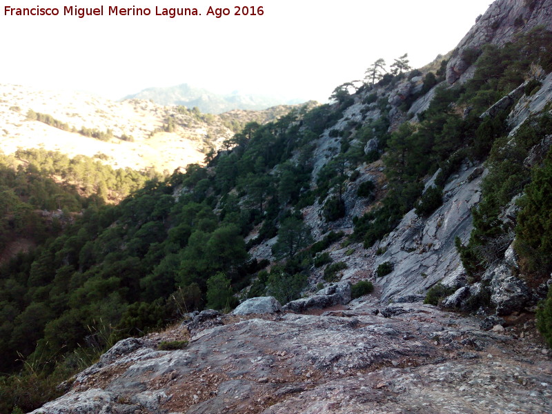 Escalera del Blanquillo - Escalera del Blanquillo. Vista desde arriba