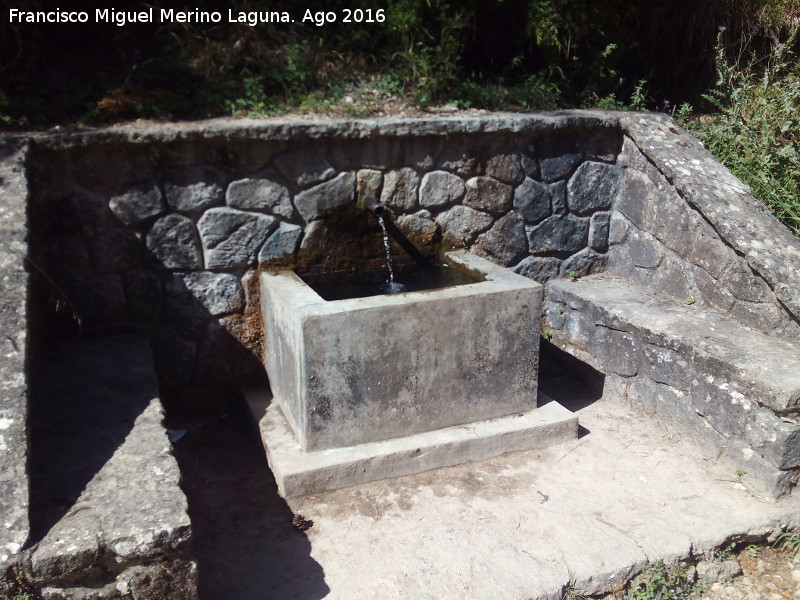 Fuente de la Cerrada de San Gins - Fuente de la Cerrada de San Gins. 