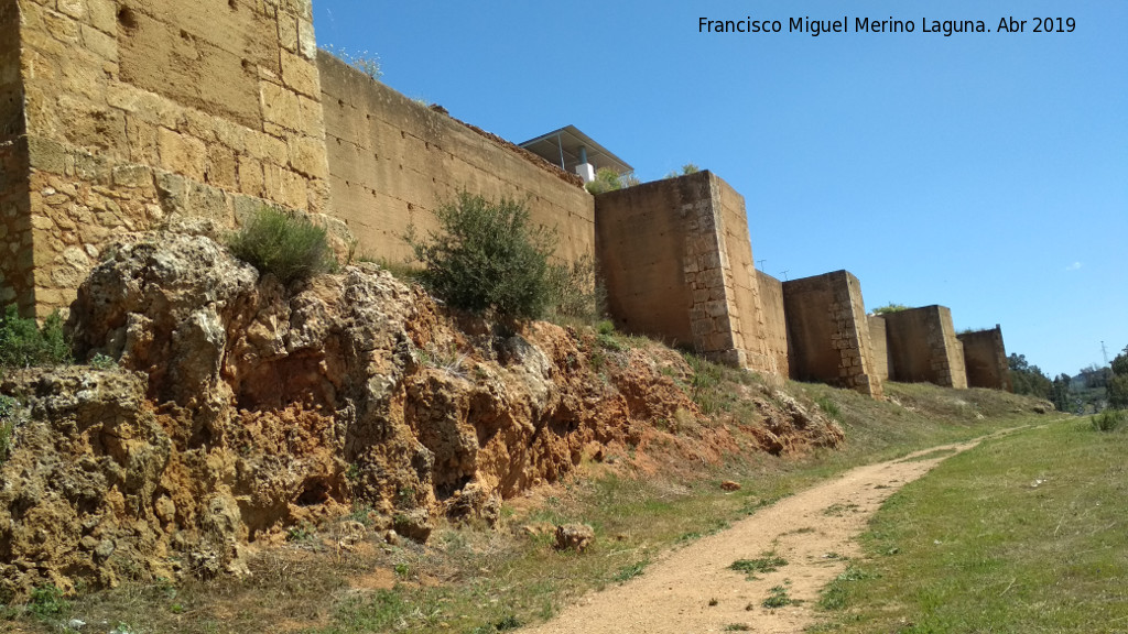 Muralla de Niebla - Muralla de Niebla. Muralla sur entre la Puerta del Buey y la Puerta del Agua