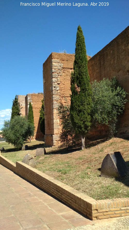 Muralla de Niebla - Muralla de Niebla. Sector oeste