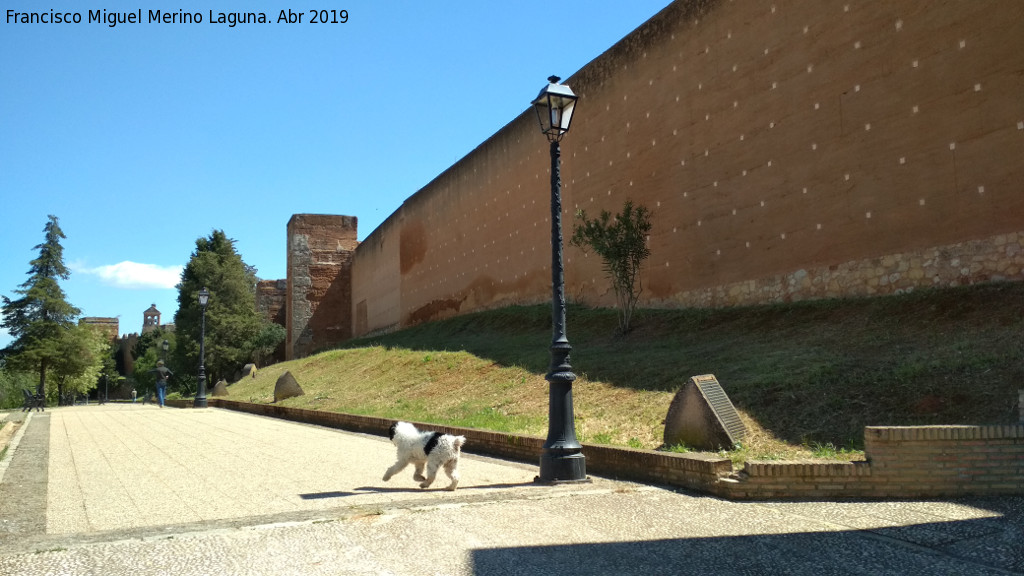 Muralla de Niebla - Muralla de Niebla. Sector norte