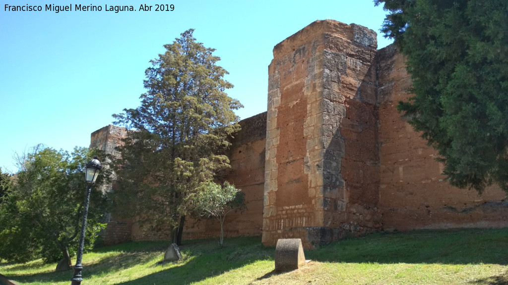 Muralla de Niebla - Muralla de Niebla. Sector norte