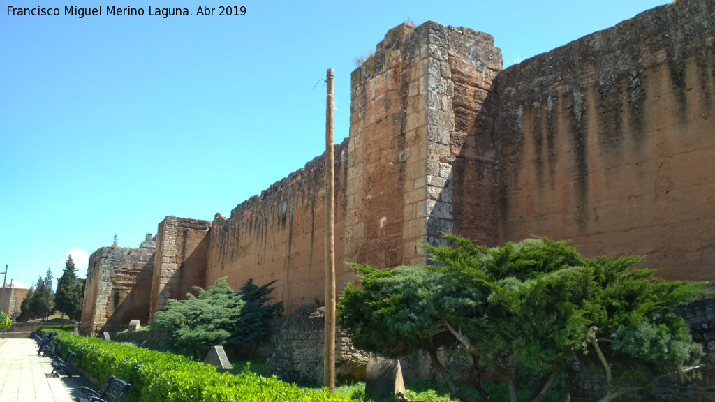 Muralla de Niebla - Muralla de Niebla. Sector norte