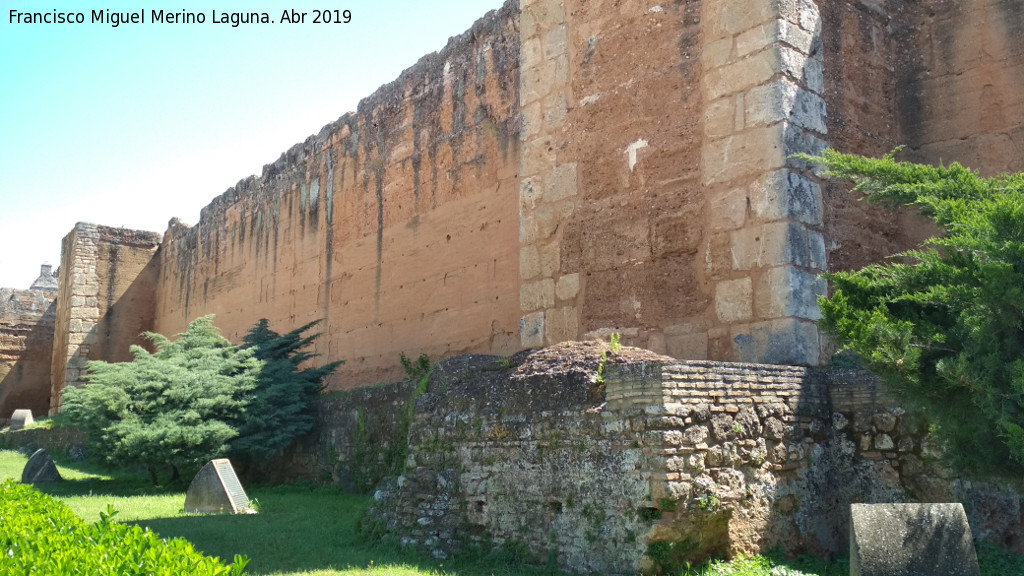 Muralla de Niebla - Muralla de Niebla. Detalle del sector norte