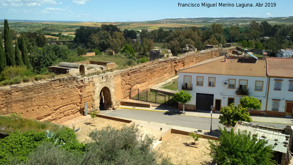 Muralla de Niebla - Muralla de Niebla. Sector de la Puerta de Sevilla