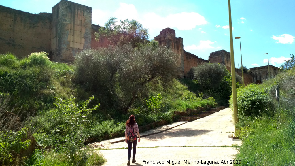 Muralla de Niebla - Muralla de Niebla. Muralla norte