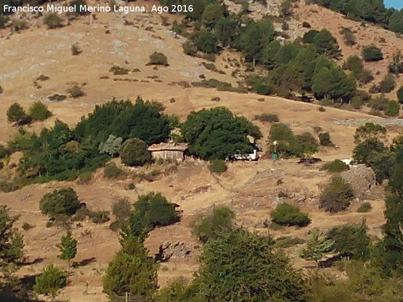 Cortijo del Pardal - Cortijo del Pardal. 