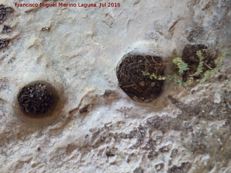 Pinturas y petroglifos rupestres de la Cueva del Encajero - Pinturas y petroglifos rupestres de la Cueva del Encajero. Cazoletas