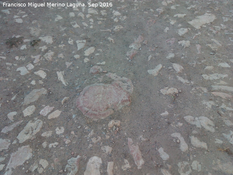 Era de la Sierrezuela I - Era de la Sierrezuela I. Piedra central