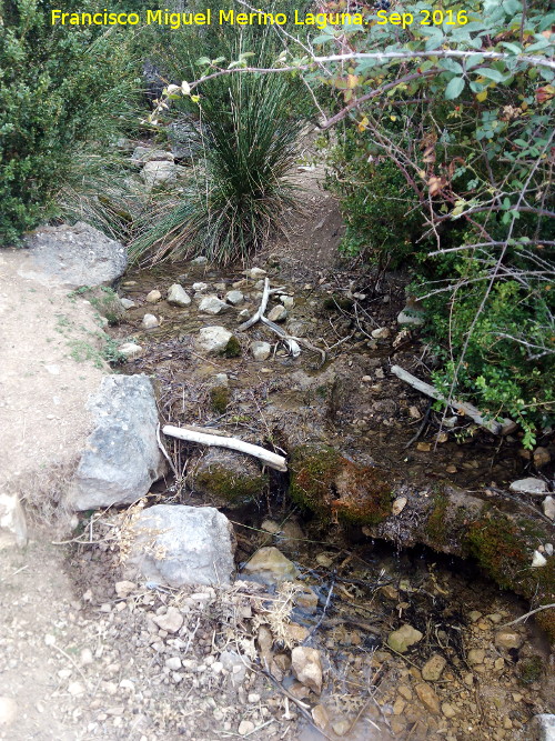 Cerrada Extremera - Cerrada Extremera. Nacimiento del Ro Extremera