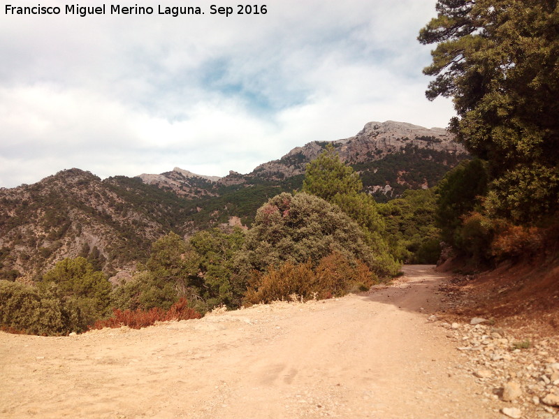 Cordel del Chorro a la Atalaya - Cordel del Chorro a la Atalaya. 