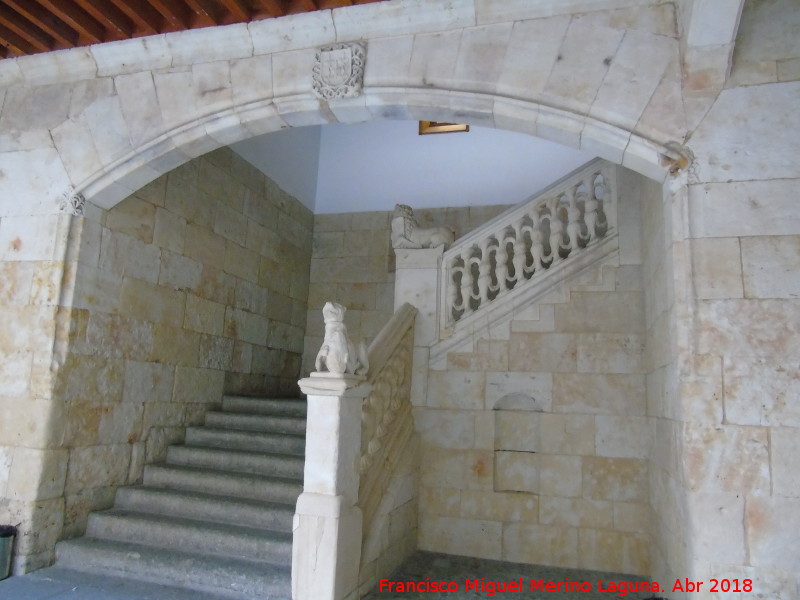 Casa de las Conchas - Casa de las Conchas. Escalera